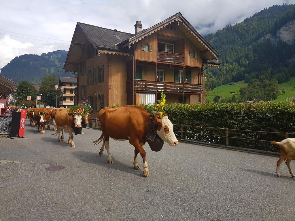 Hornerpub Apartments Lauterbrunnen Exterior foto